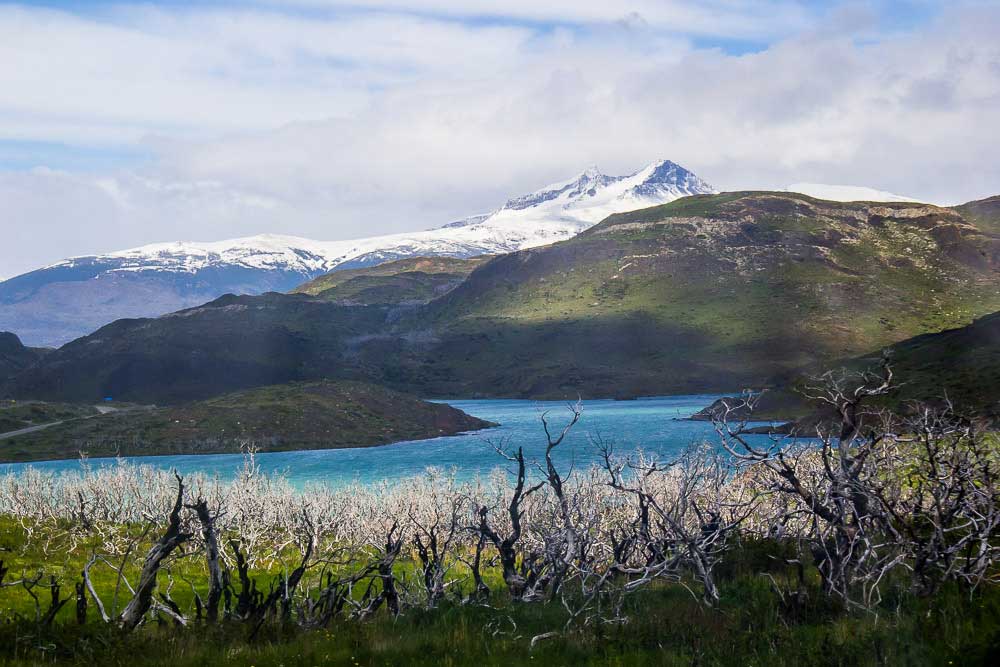 Lago Nordenskjold - Torres del Paine